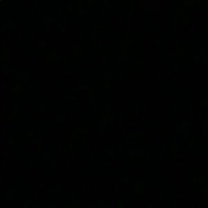 Meet your Posher, Addie